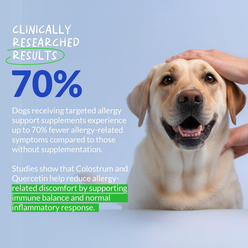 Coco and Luna allergy dog chewables ingredients label shows transparent sources