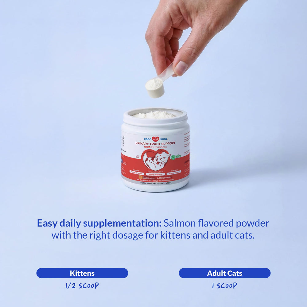Coco and Luna cat food mix powder in a small dish