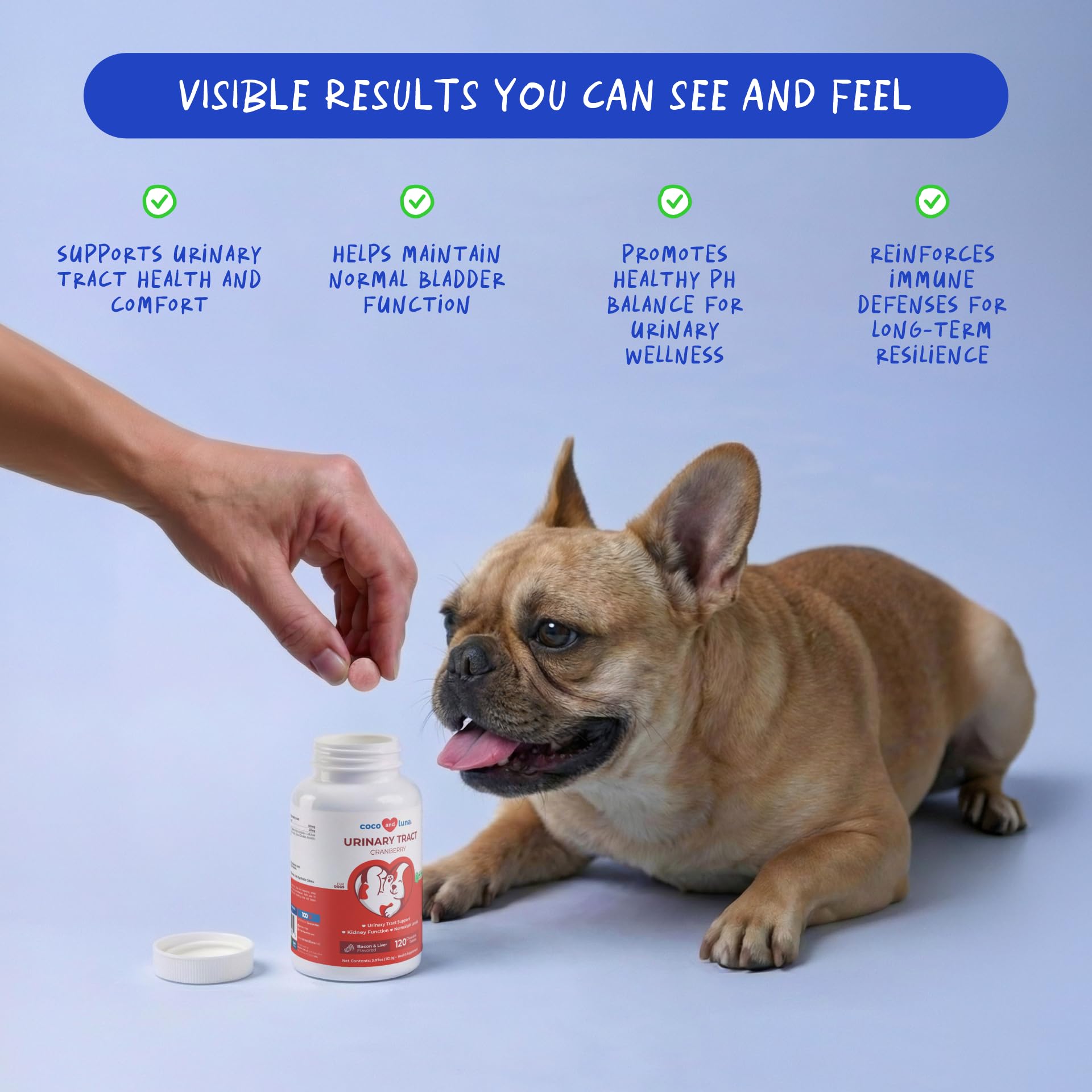 Closeup of Coco and Luna Cranberry for Dogs chews highlighting palatable daily bladder health
