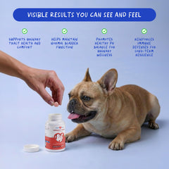Closeup of Coco and Luna Cranberry for Dogs chews highlighting palatable daily bladder health
