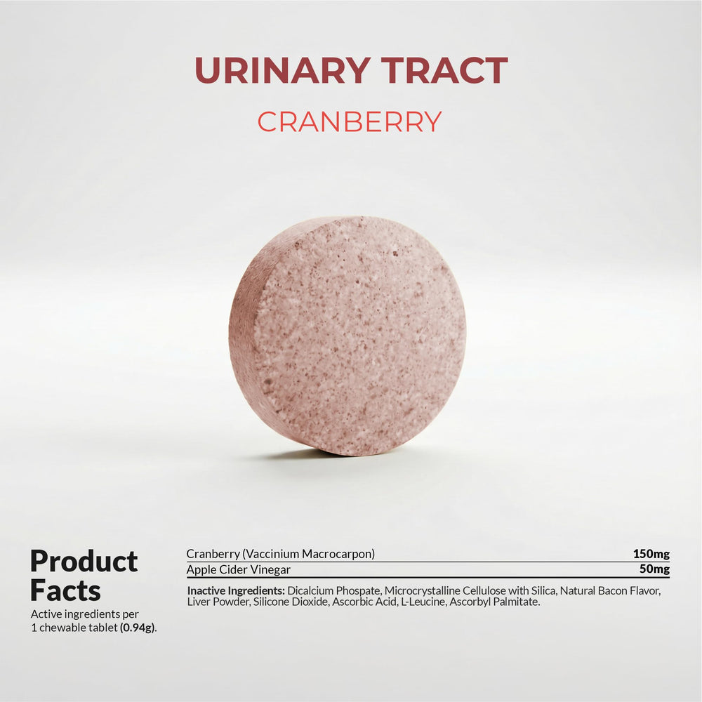 Product image of Coco and Luna Cranberry for Dogs in daily-use setting promoting comfort