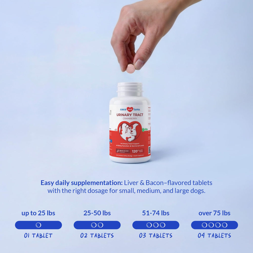 Coco and Luna Cranberry for Dogs bottle with label artwork signaling natural defense support