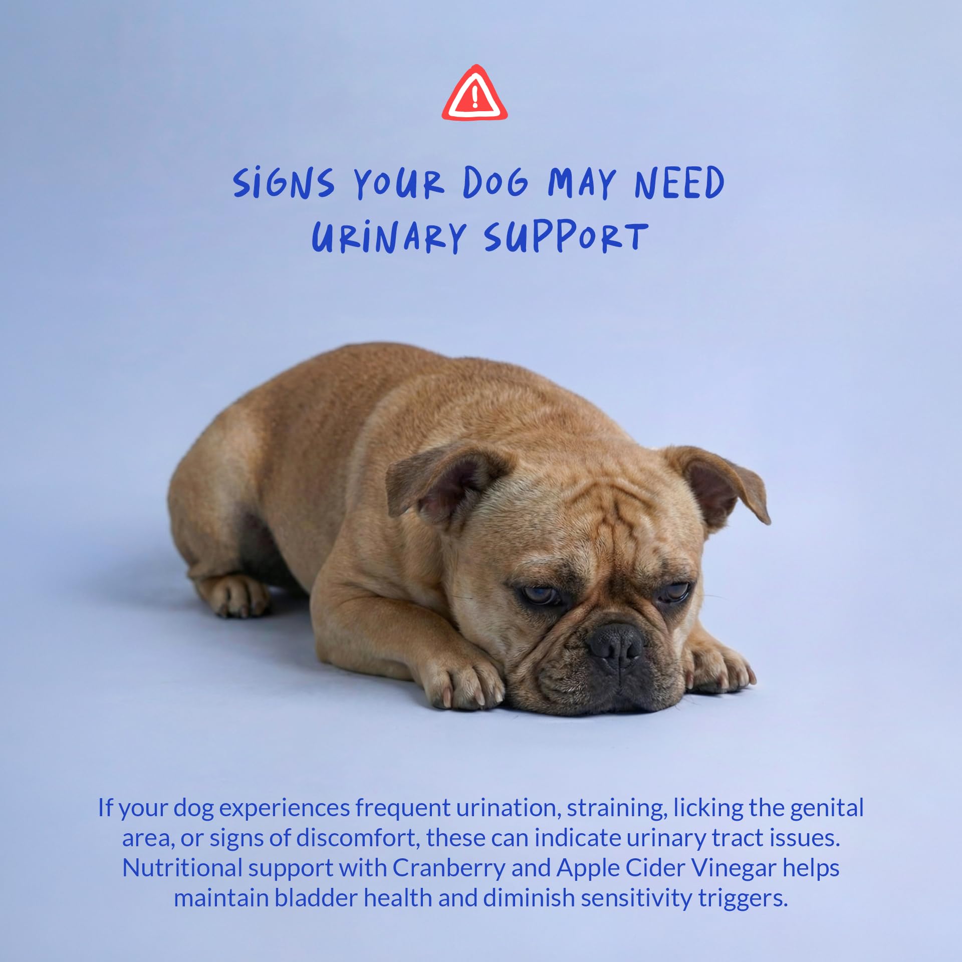 Back packaging of Coco and Luna Cranberry for Dogs shows usage directions