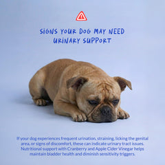 Back packaging of Coco and Luna Cranberry for Dogs shows usage directions