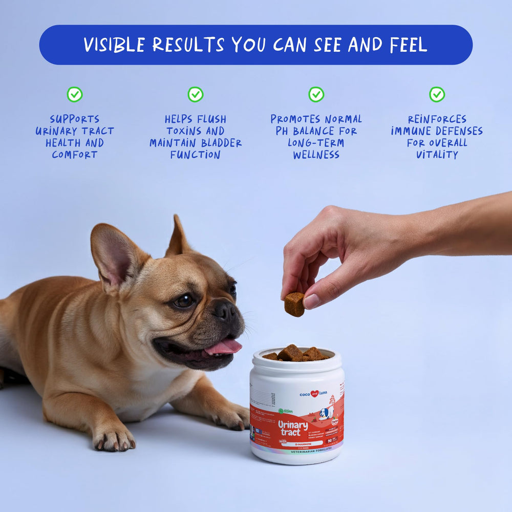 Coco and Luna Cranberry for Dogs Soft Chews closeup shows the soft chew texture for urinary care.