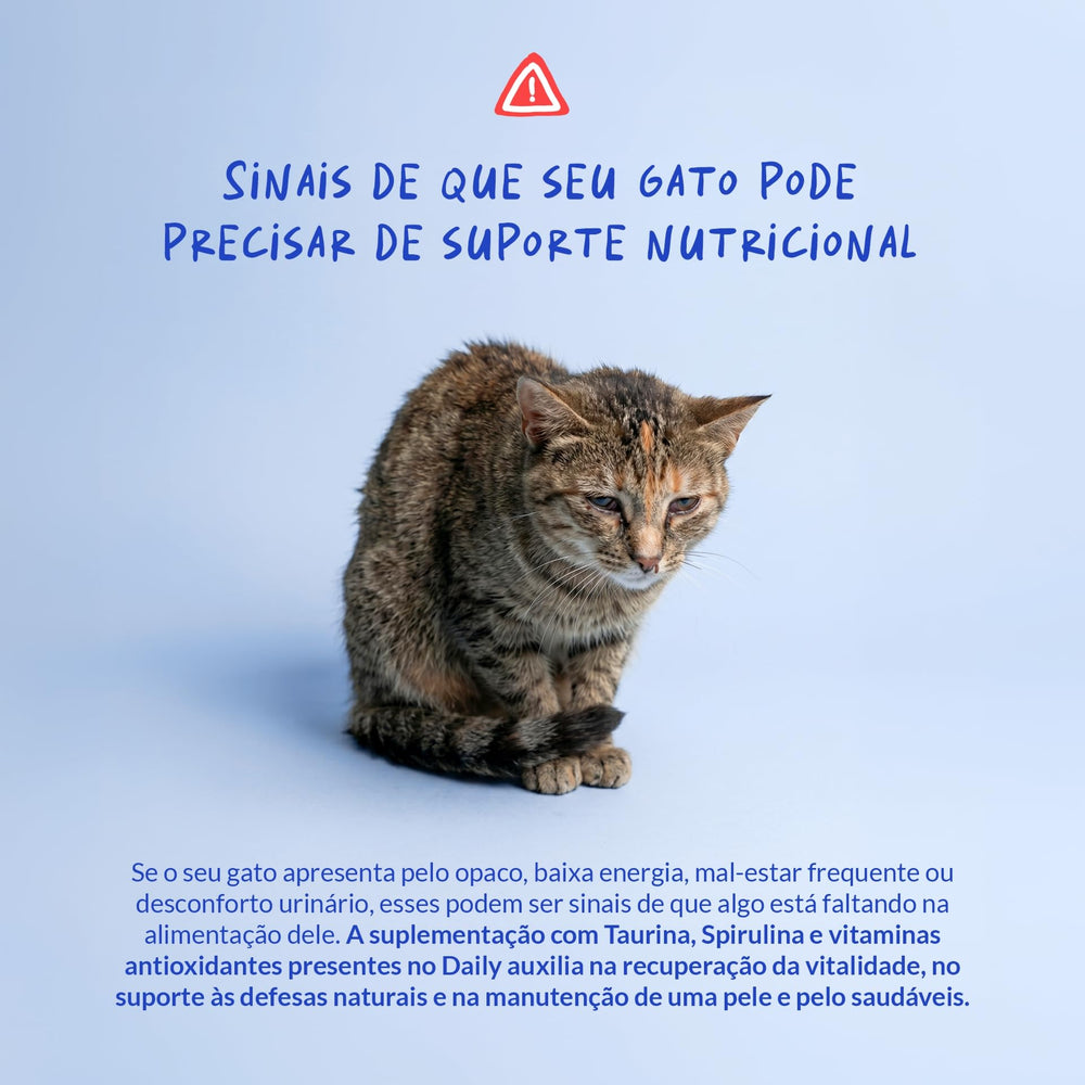 Coco and Luna eyes-vision emphasis for eye health support
