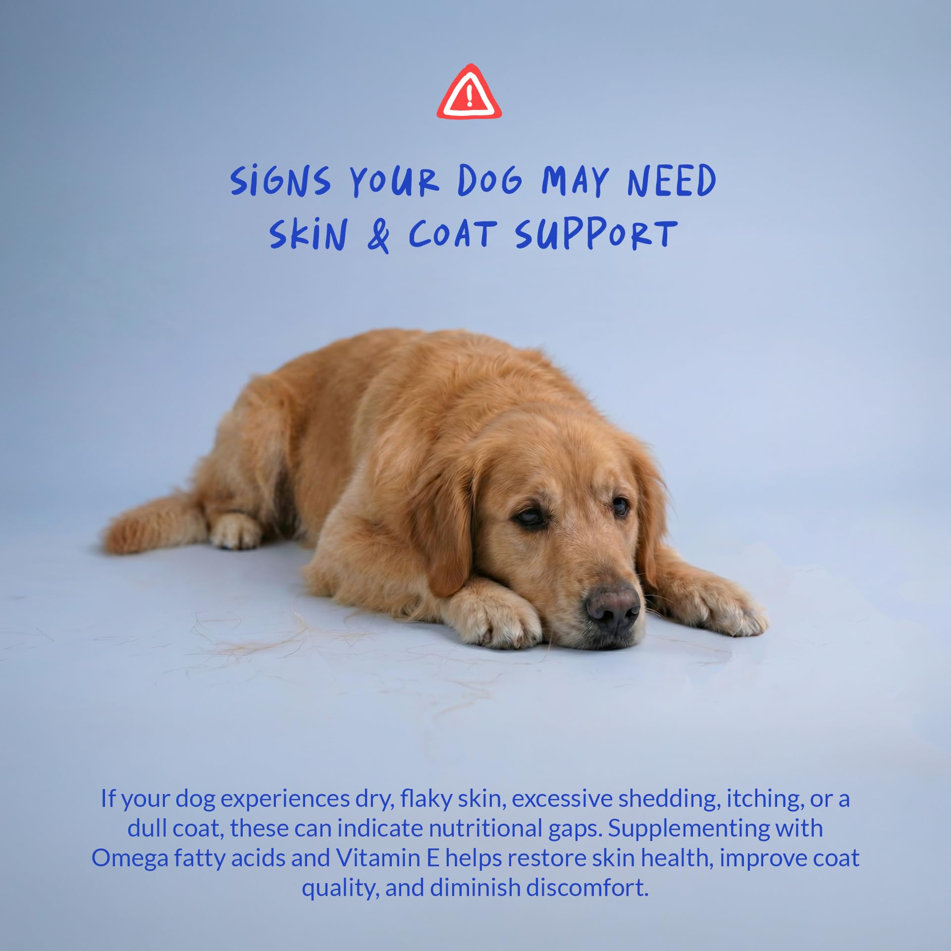 Coco and Luna dog joint support chews for everyday comfortable movement.