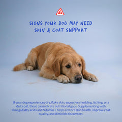 Coco and Luna dog joint support chews for everyday comfortable movement.