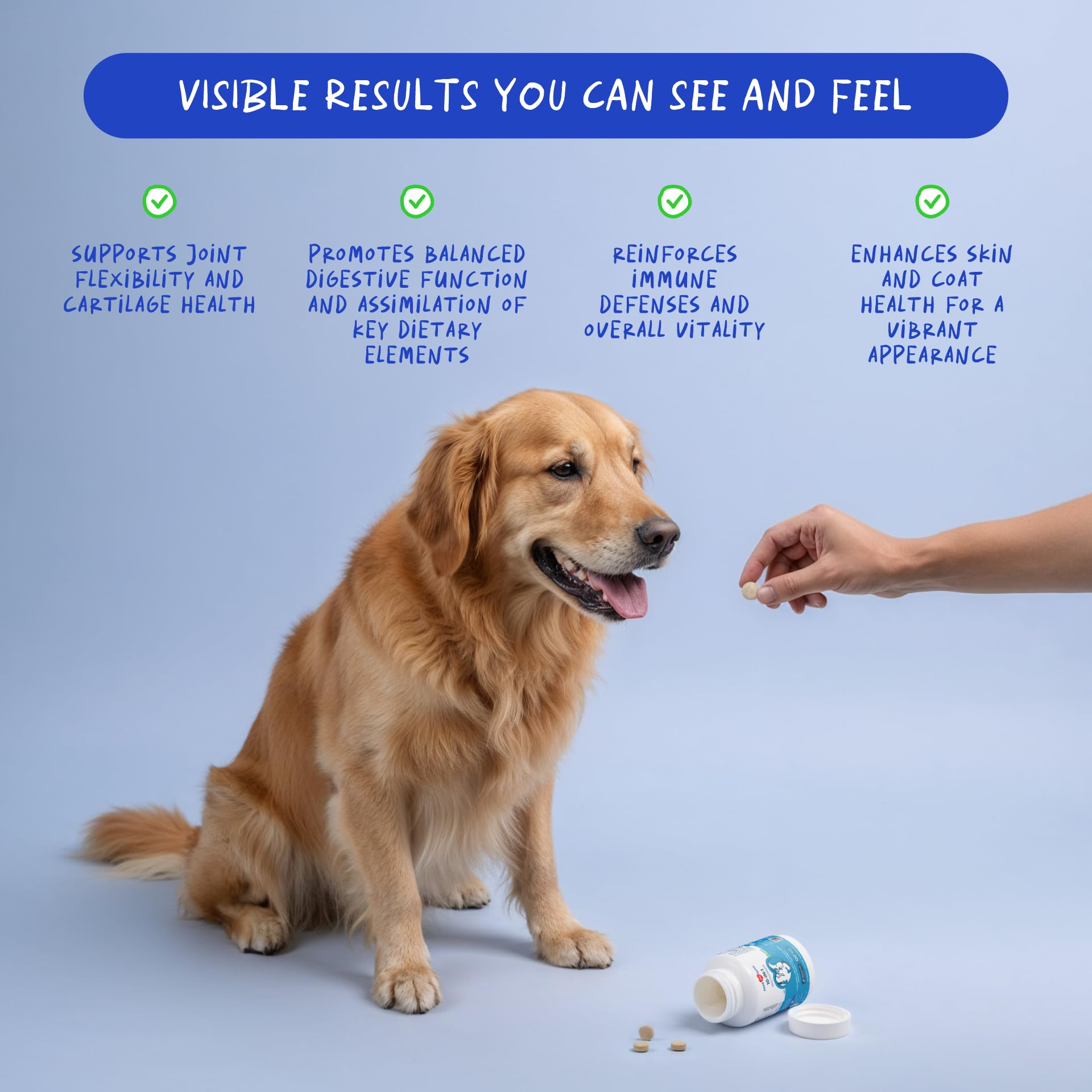 Coco and Luna dog multivitamin chew tablets close-up, illustrating a palatable daily option.