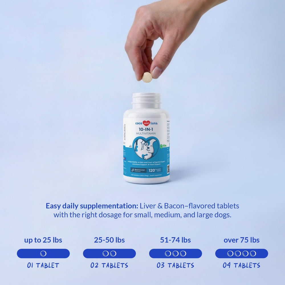 Coco and Luna dog multivitamin packaging highlights skin coat and heart health benefits.