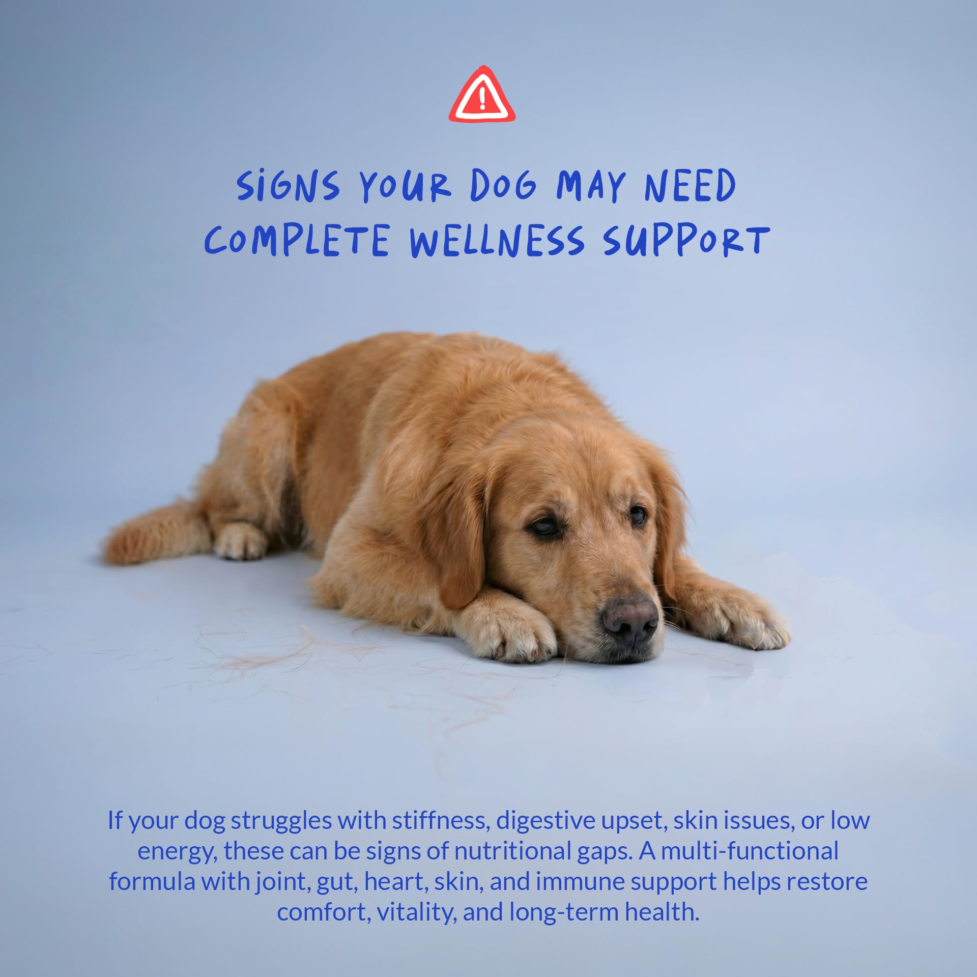 Coco and Luna dog multivitamin omega-3 fish oil graphic emphasizes coat and skin care.