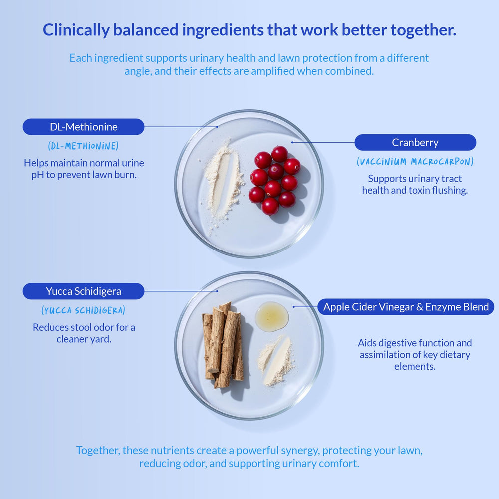 Coco and Luna enzyme-probiotic blend illustrating digestion and gut health support.