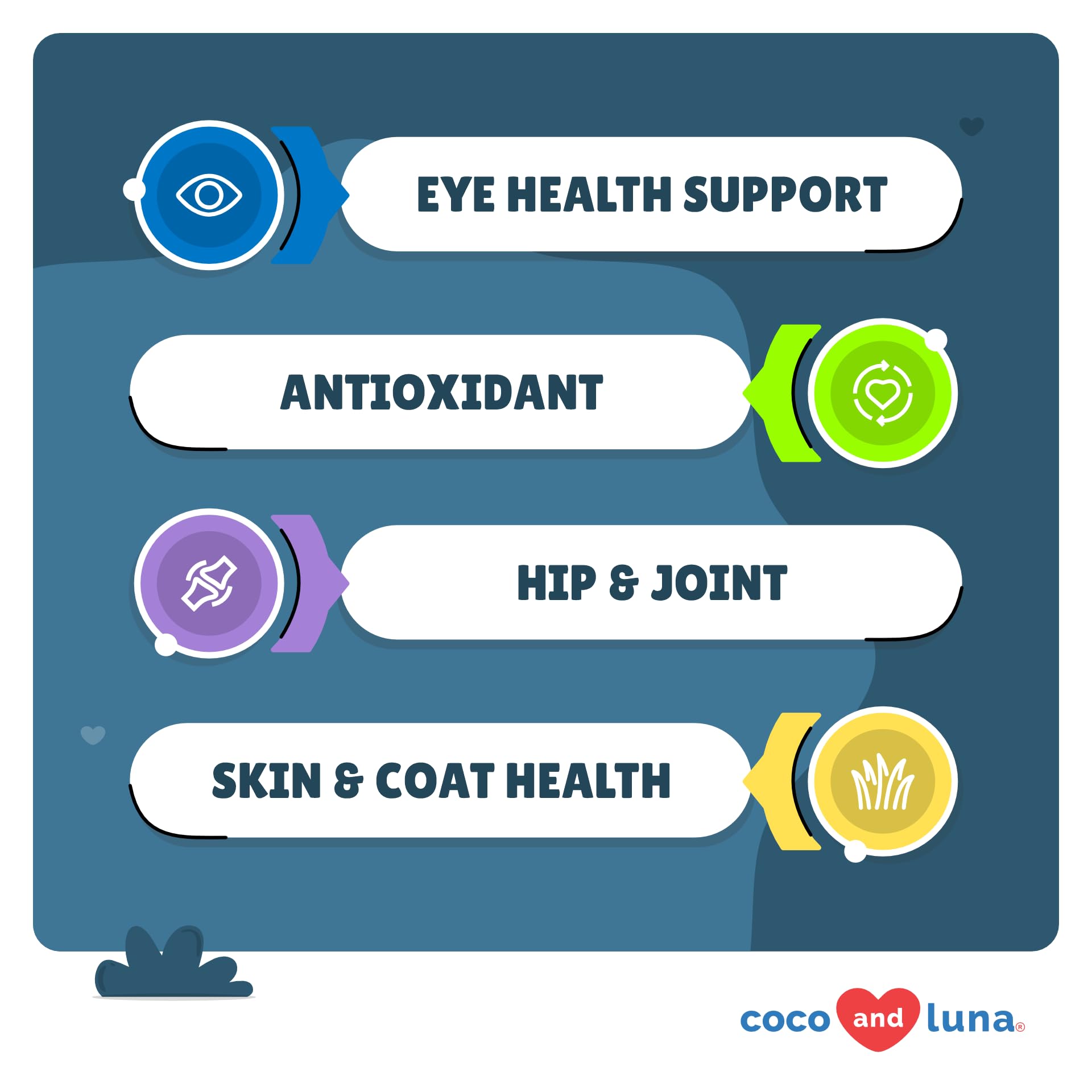 Coco and Luna Eye Health chews close-up showing soft tablets.