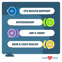 Coco and Luna Eye Health chews close-up showing soft tablets.