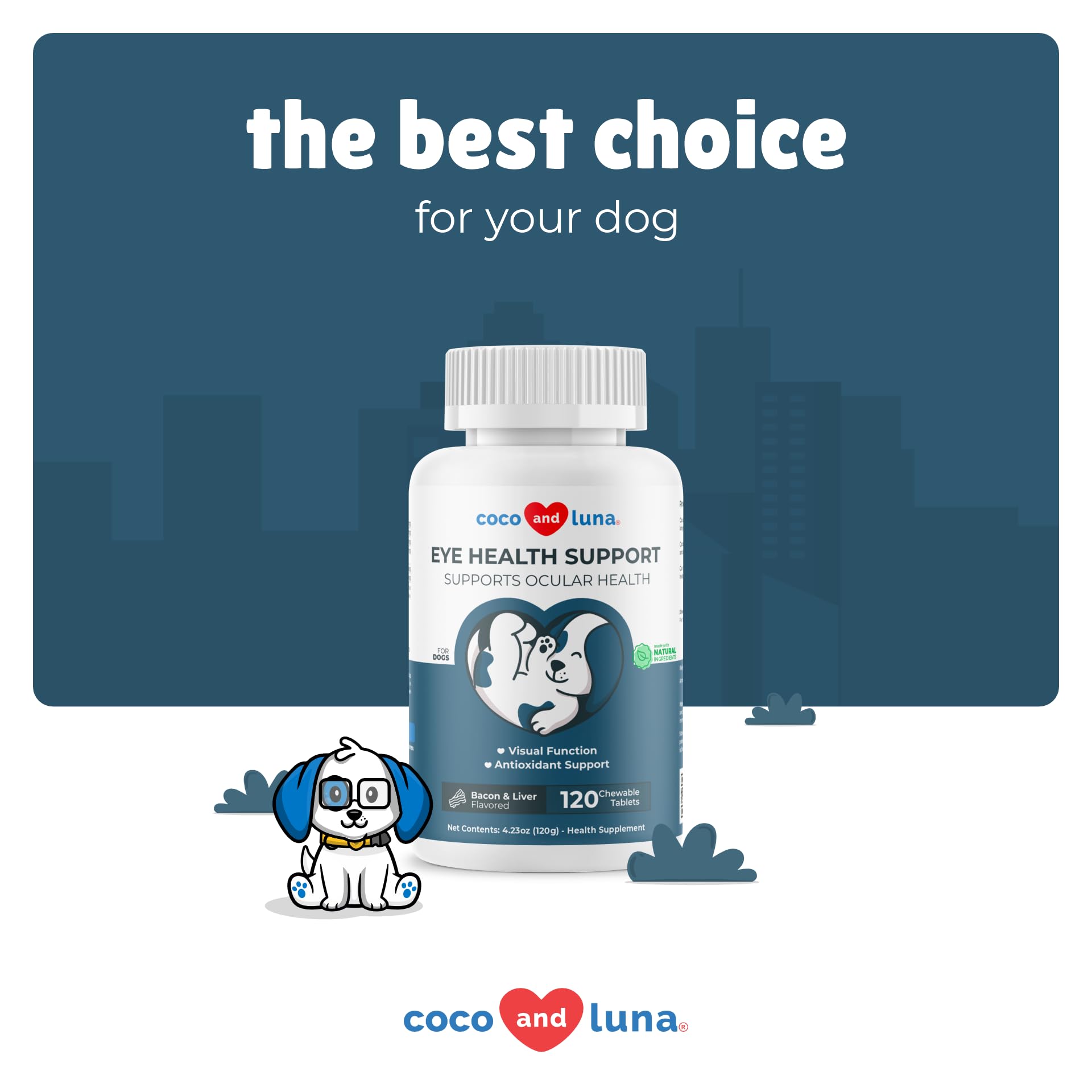 Coco and Luna Eye Health usage scene with a senior dog.