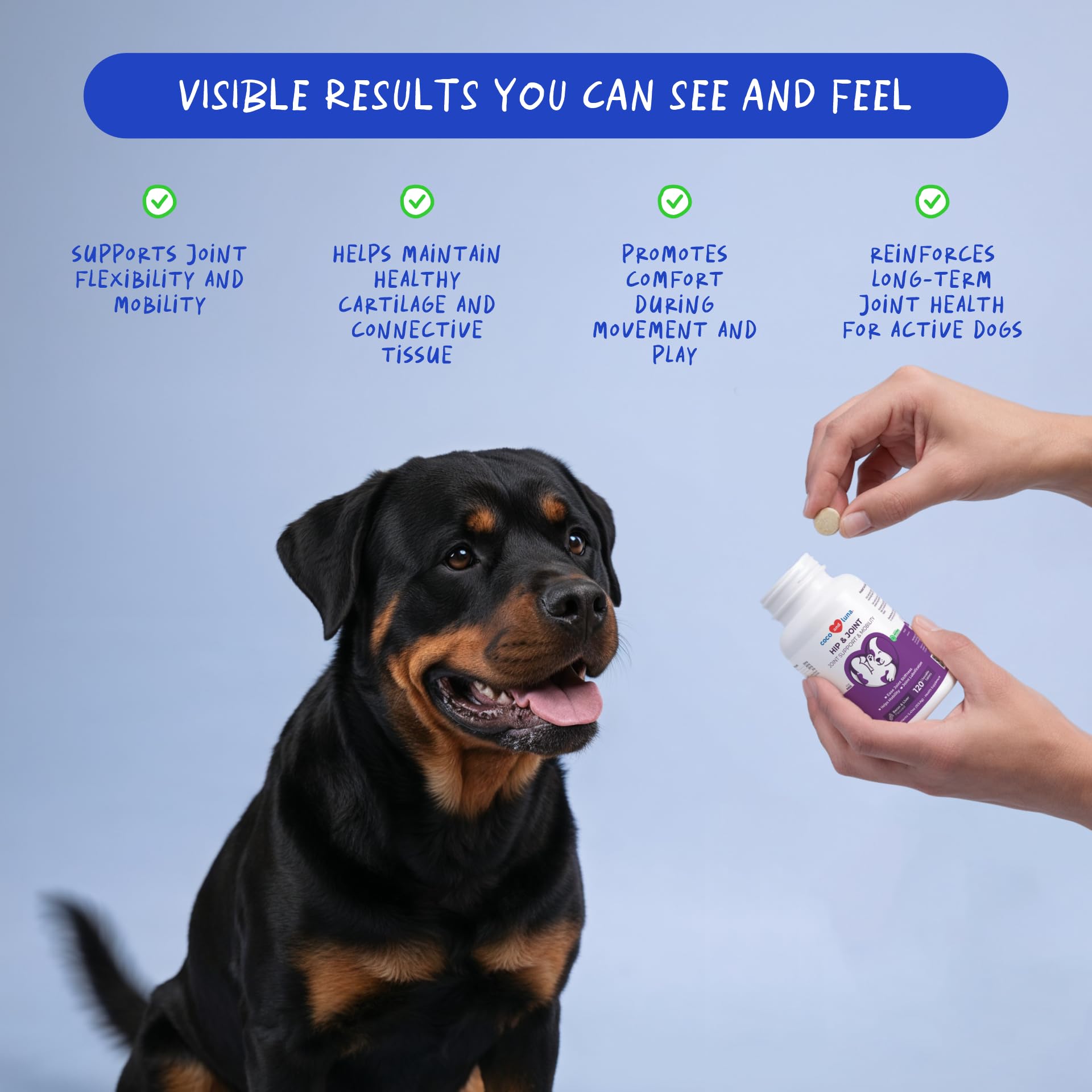 Coco and Luna hip joint dog chews for daily joint comfort