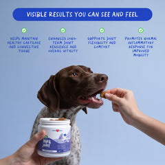 Coco and Luna glucosamine collagen ingredients emphasize joint health.