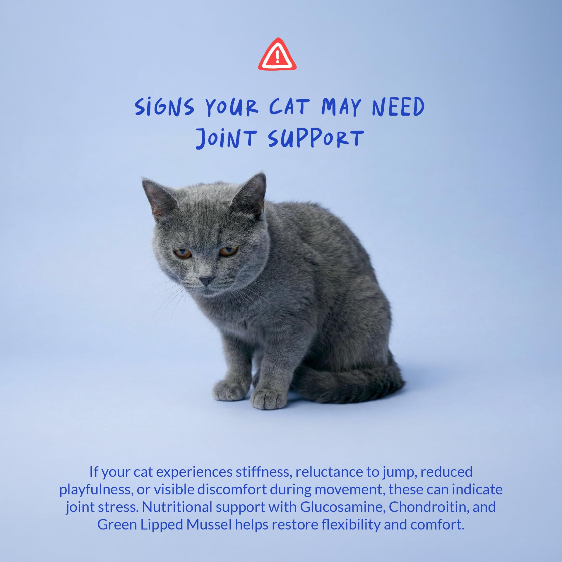 Coco and Luna MSM and Vitamin E support connective tissues.