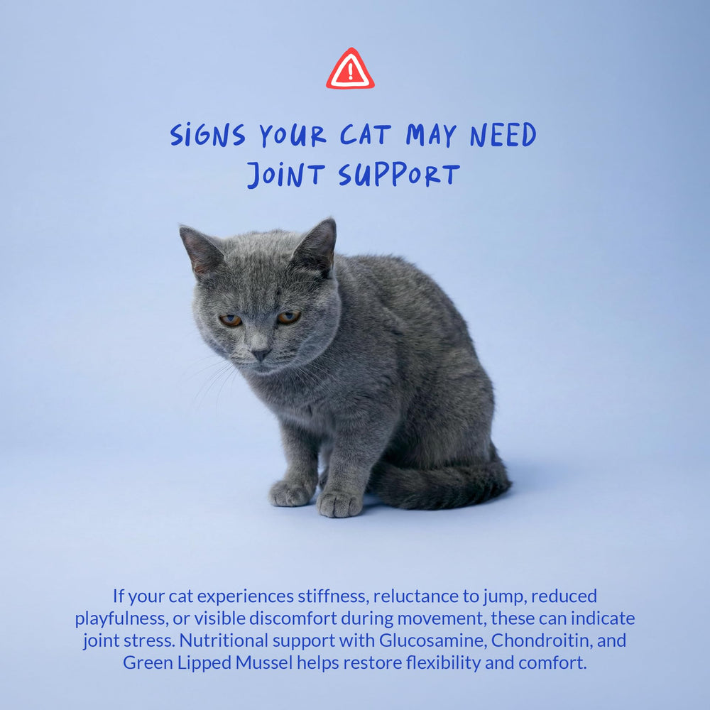 Coco and Luna MSM and Vitamin E support connective tissues.