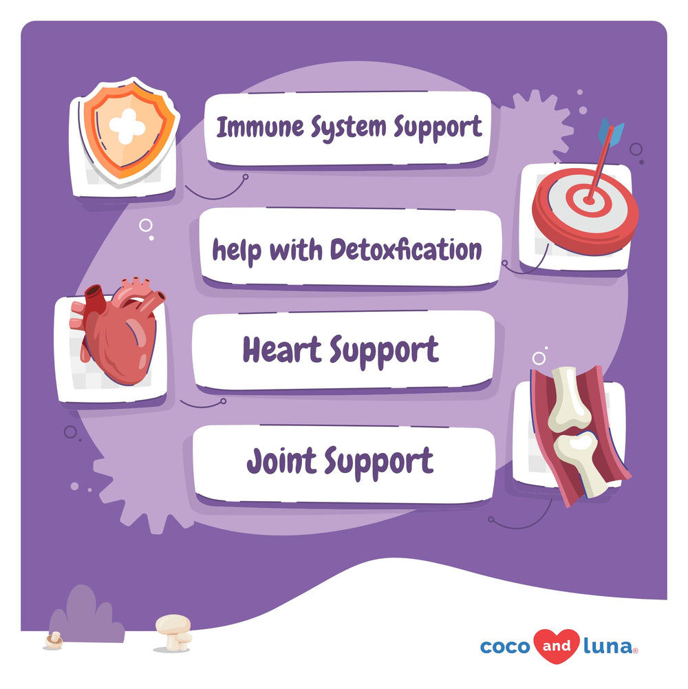 Coco and Luna mushroom blend ingredients close-up highlighting wellness support.