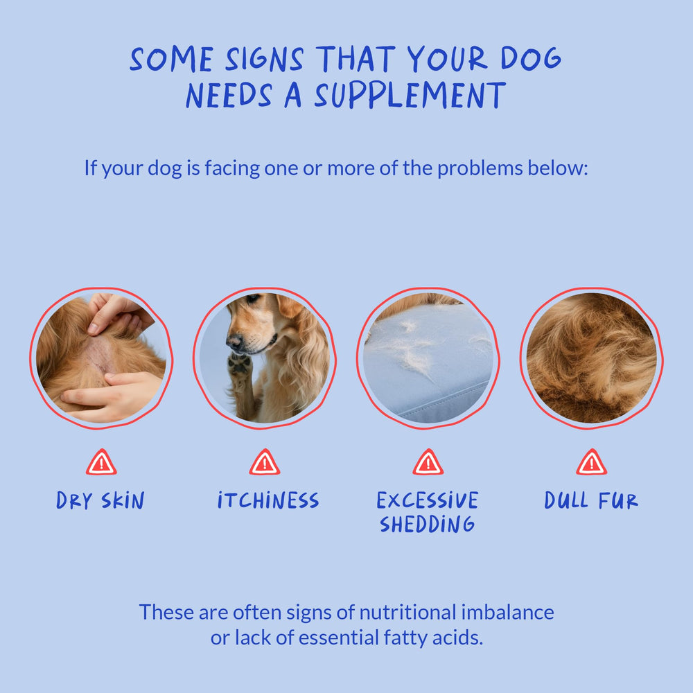 Coco and Luna Omega-3 dog heart health focus image suggests cardiovascular support possibilities.