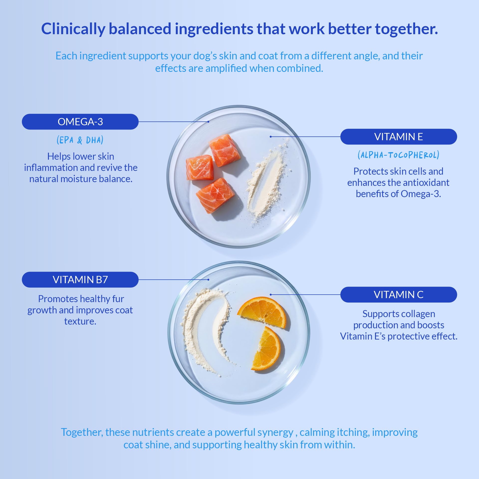 Coco and Luna Omega-3 dog immune support image conveys resilience and daily wellness.