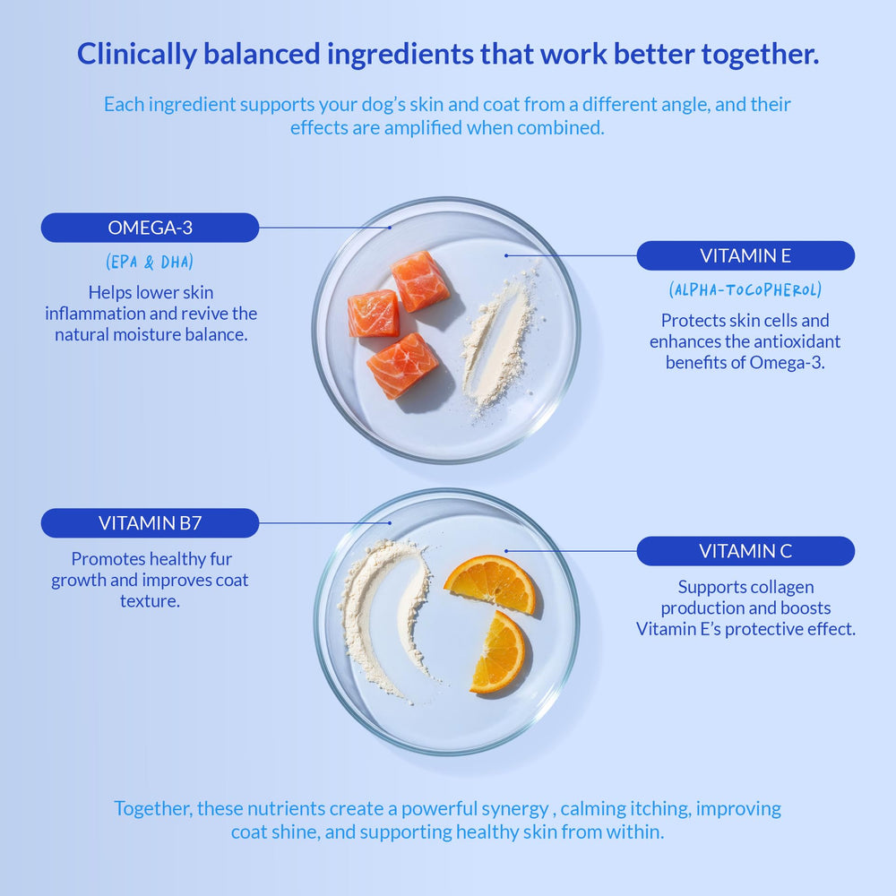 Coco and Luna Omega-3 dog immune support image conveys resilience and daily wellness.
