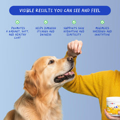Coco and Luna Omega-3 dog ingredients panel highlights omega-3 fatty acids for joint comfort.