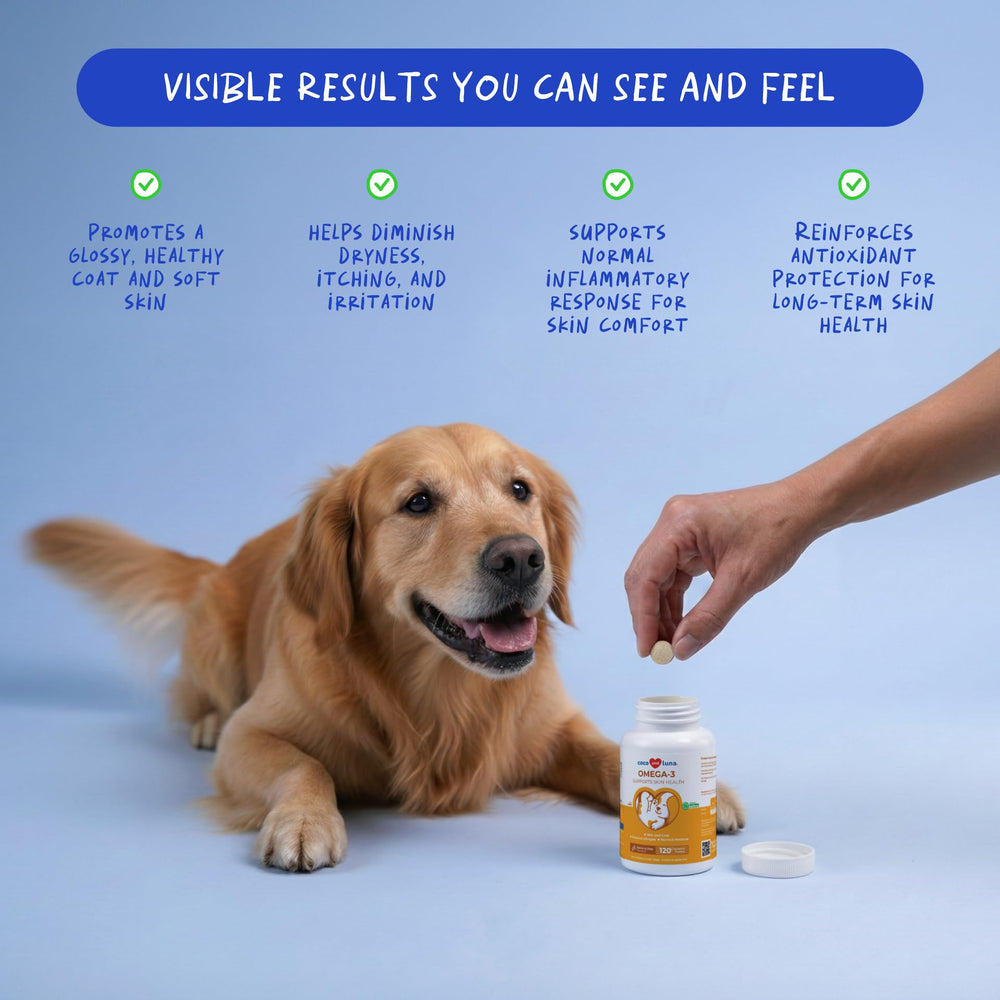 Coco and Luna Omega3 dogs chews closeup shows tasty chews supporting mobility.