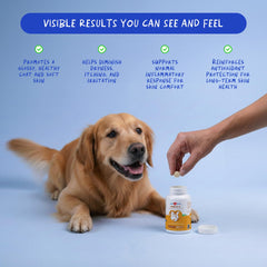 Coco and Luna Omega3 dogs chews closeup shows tasty chews supporting mobility.