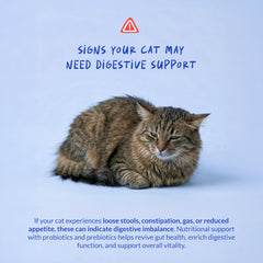 Coco and Luna cats mealtime powder helps with smoother digestion