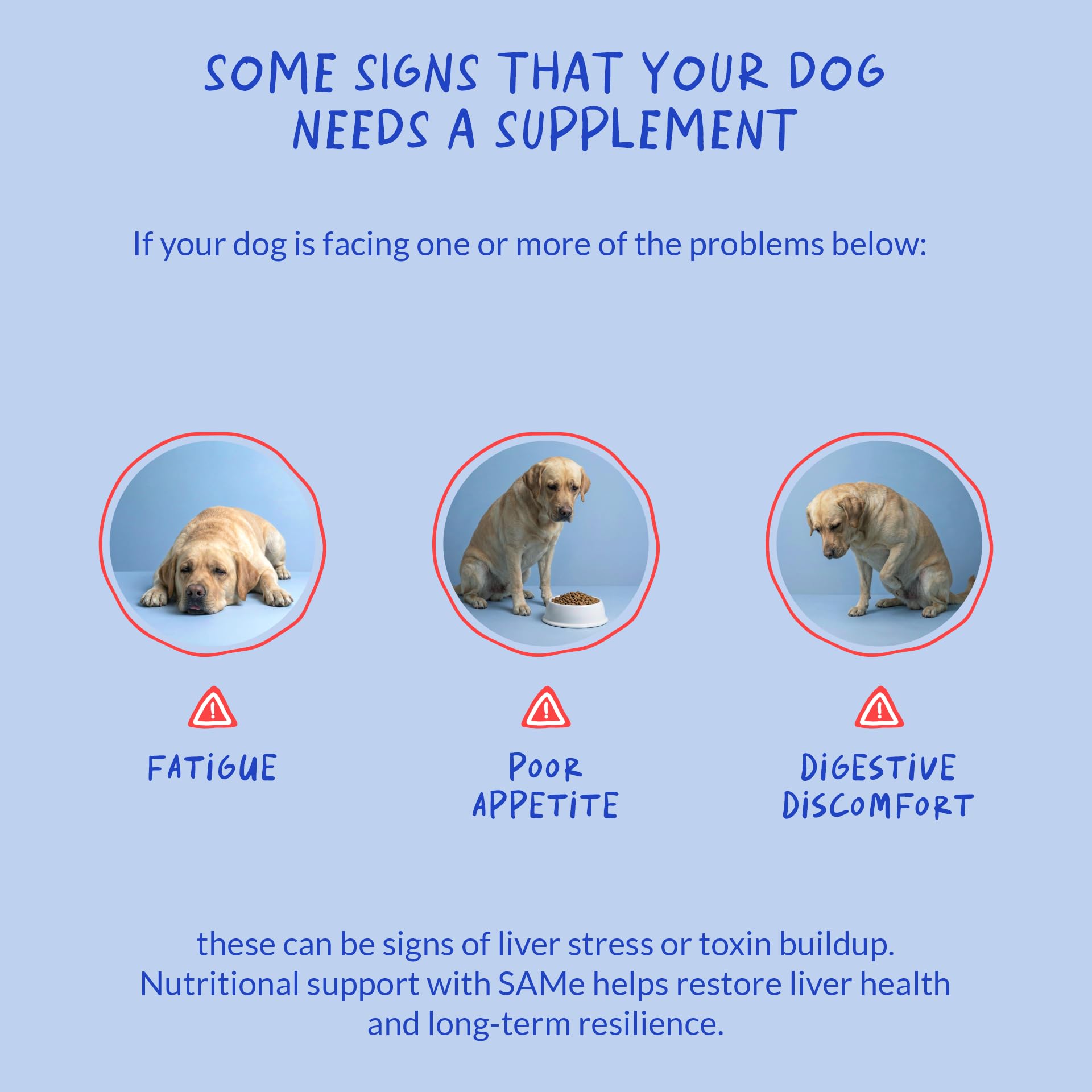 Coco and Luna soft chews label features SAMe for liver and brain health.