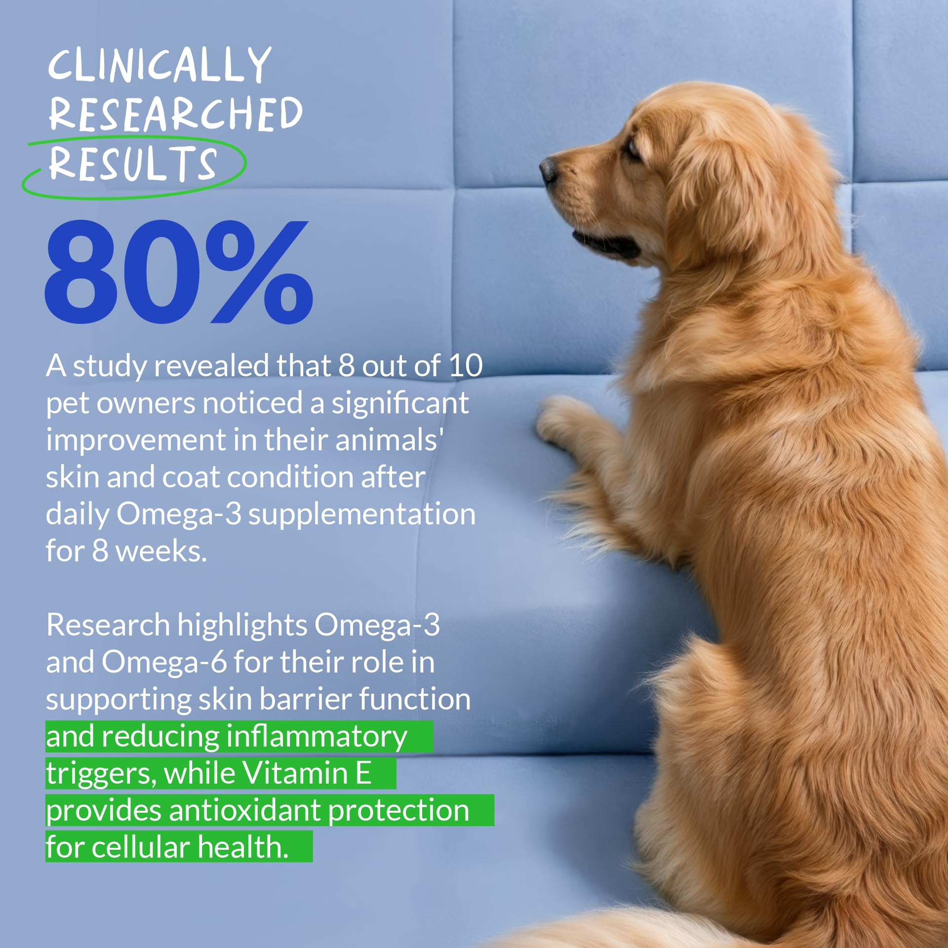 Coco and Luna skin and coat shine after daily omega-3 supplementation.