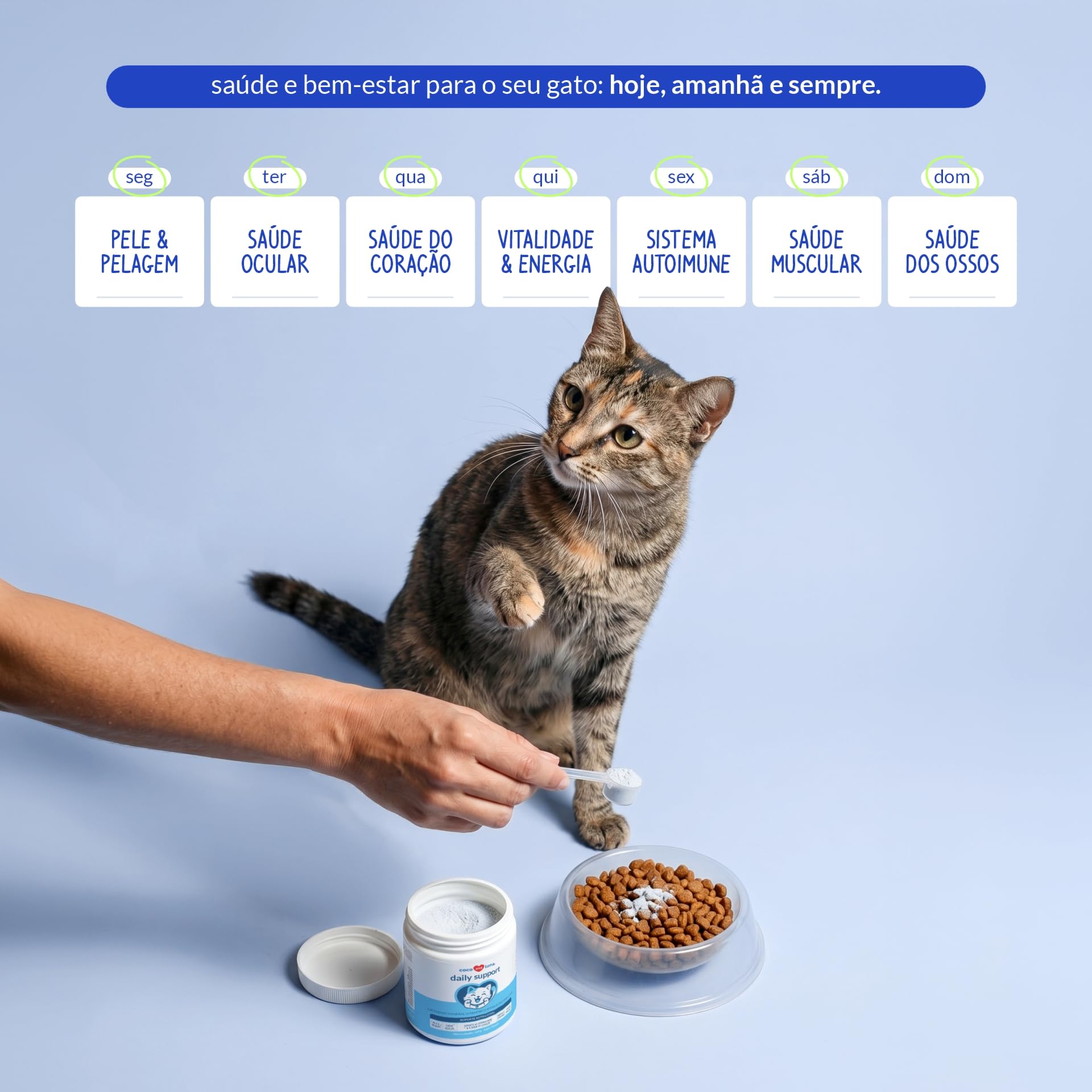 Coco and Luna taurine ingredients label close-up highlighting feline support