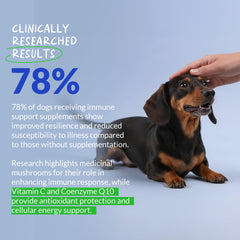 Coco and Luna Turkey Tail capsules suggest gut-friendly balance for dogs.
