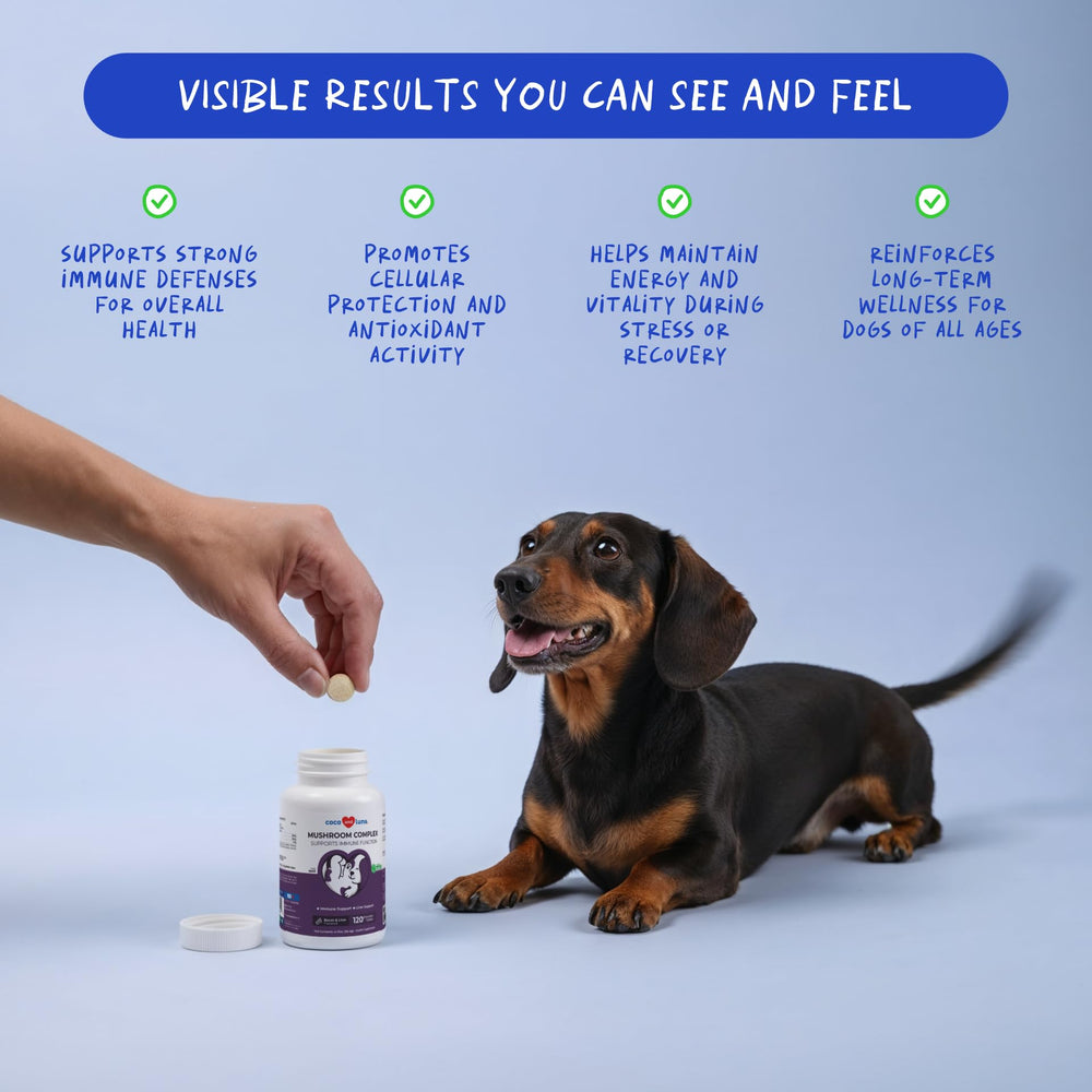 Coco and Luna dog supplement pour demonstrates easy daily dosing.