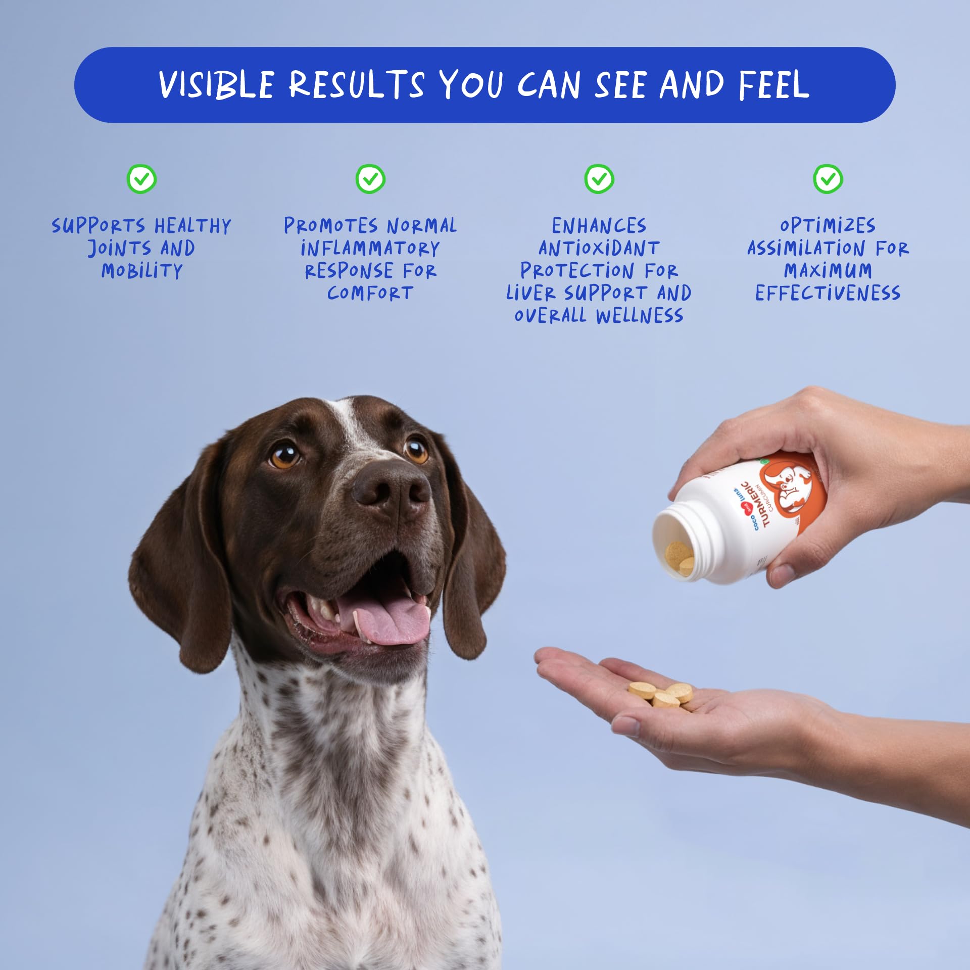 Close-up of Coco and Luna chewables for easy daily use.