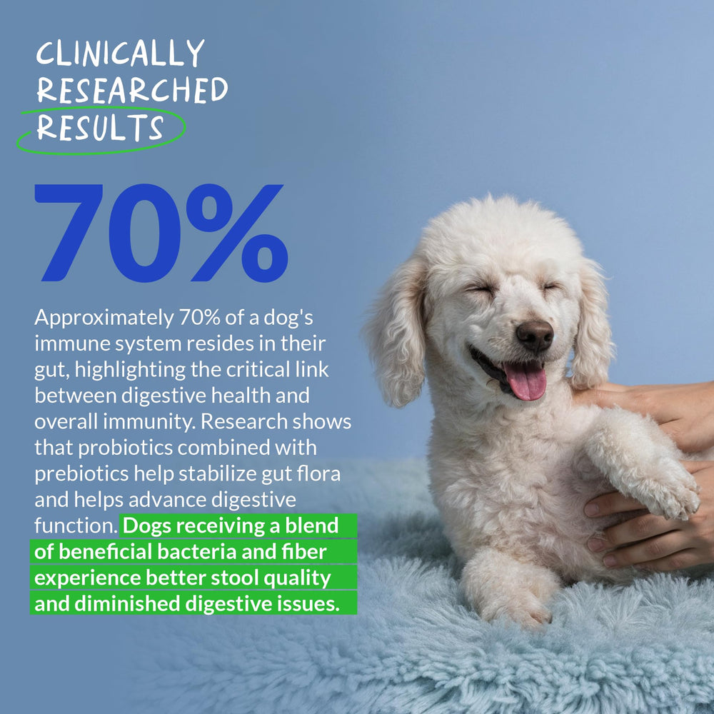 Coco and Luna Probiotics for Dogs label with digestive enzymes indicates digestion support.
