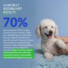 Coco and Luna Probiotics for Dogs label with digestive enzymes indicates digestion support.