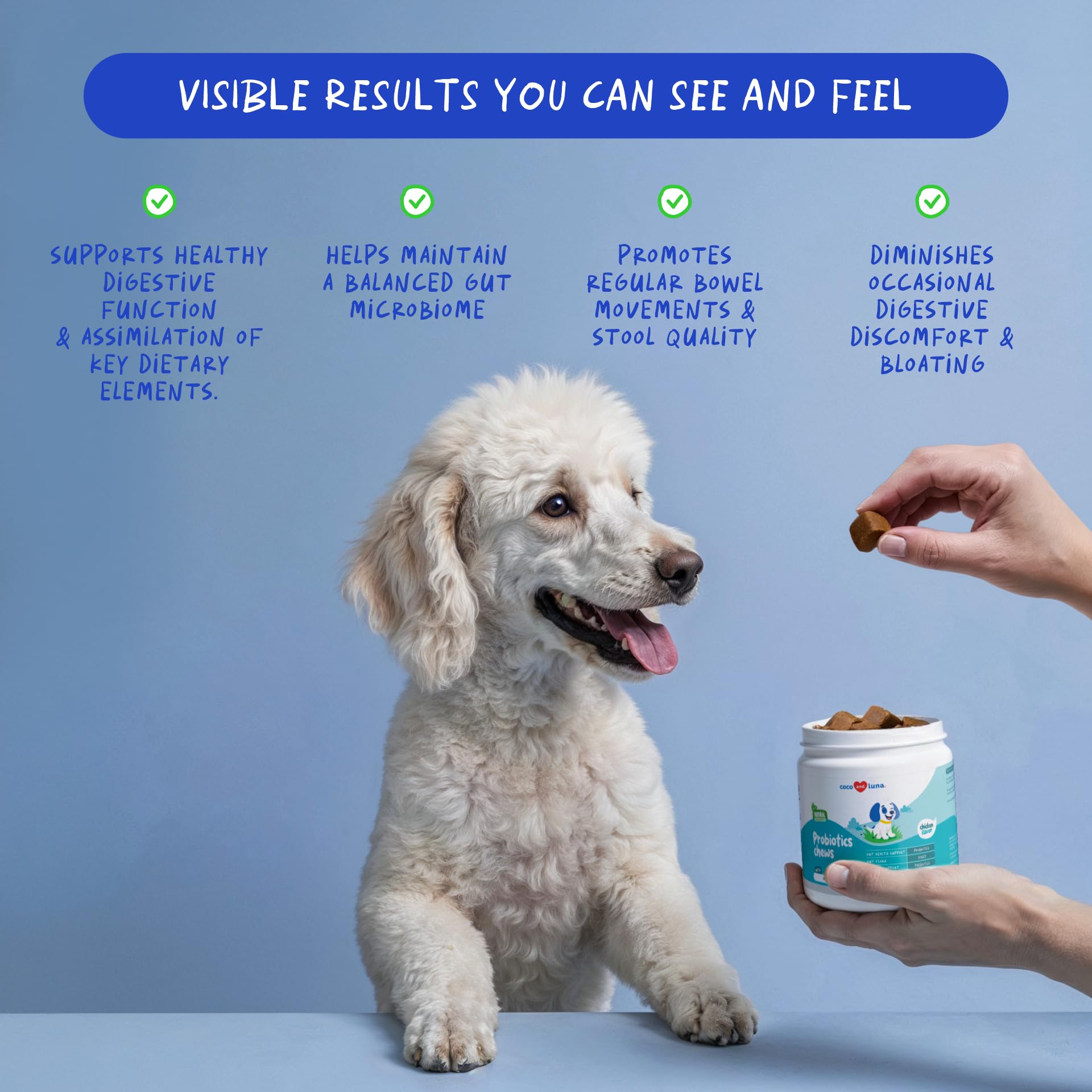Coco and Luna Probiotics for Dogs label highlights immune support potential.