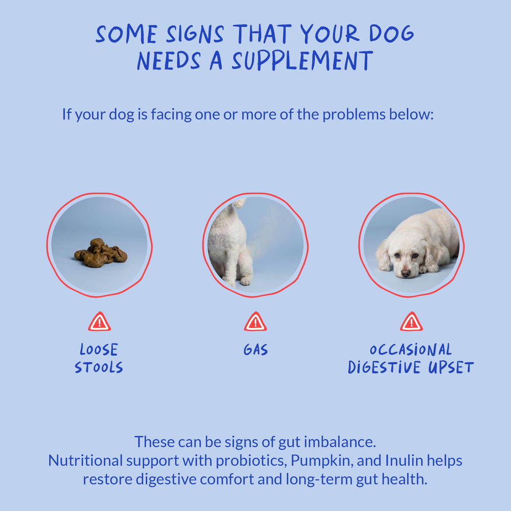 Coco and Luna Probiotics for Dogs packaging shows free-from ingredients list.