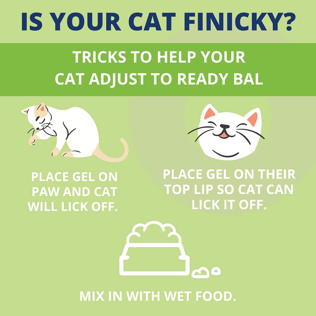 Under the Weather Ready Balance coconut flavor invites cats to take the supplement.
