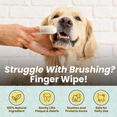 Cocopup coconut oil dental care illustration for natural cleaning