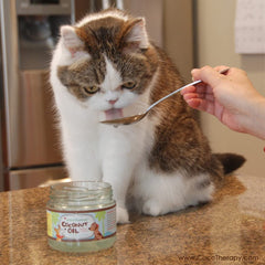 CocoTherapy coconut oil dog diet supplement adds tasty daily nutrition.
