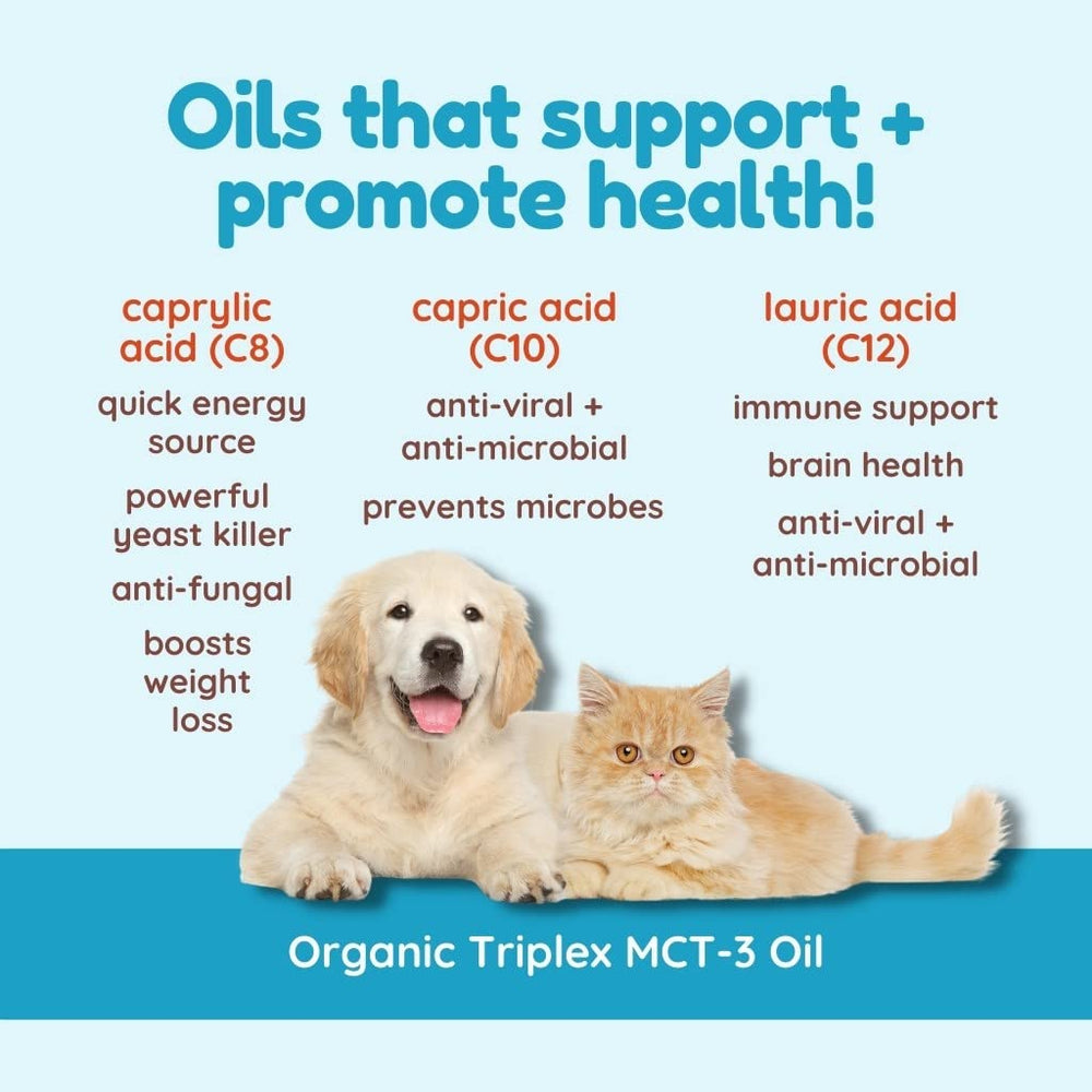 CocoTherapy Triplex MCT-3 Oil in a kitchen setup for everyday cooking.