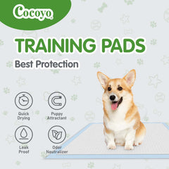 The absorbent gel in COCOYO pads locks moisture for quick cleanup.