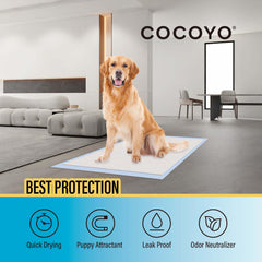 COCOYO 5-layer design pad highlighting premium absorbency and structure
