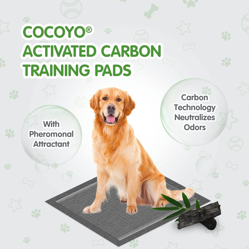 COCOYO pads suit crate training and travel for mess-free journeys.