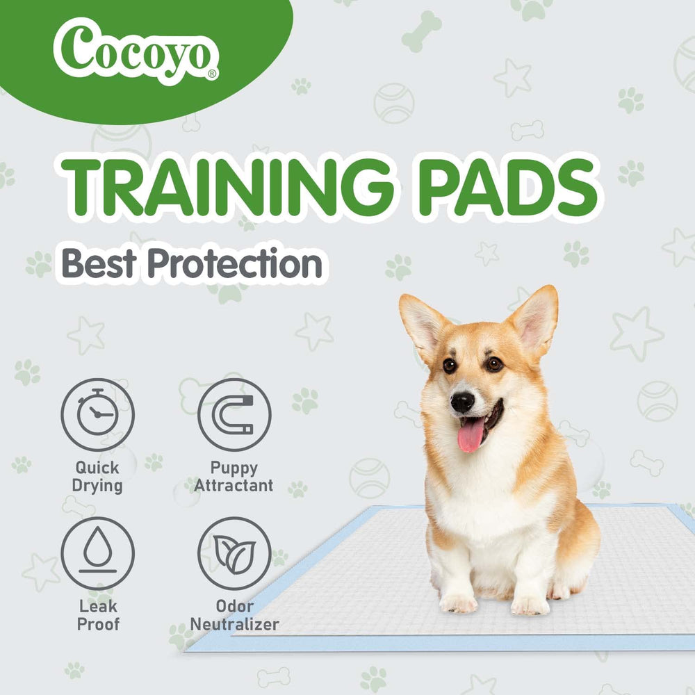 COCOYO five-layer design includes bamboo fiber and attractant for confident puppy potty training.