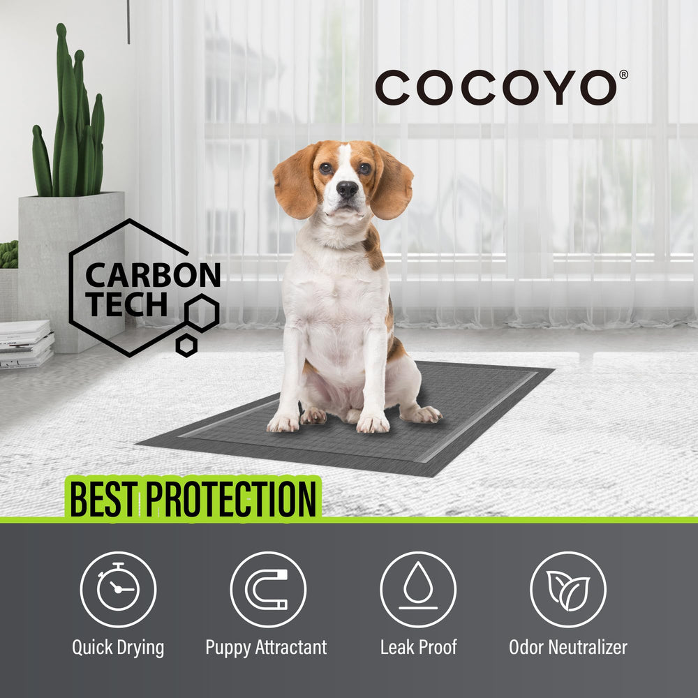 COCOYO giant dog training pad with leak-proof back protects floors